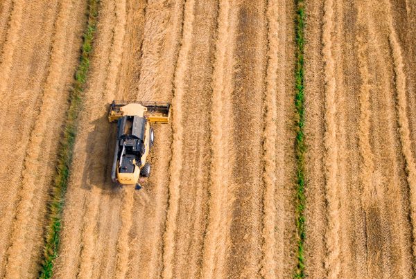 Agri Supply Co.