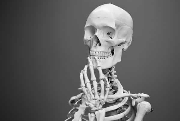 Premier Orthopaedics