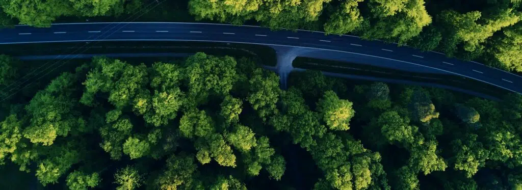 Sustainability with Adopt A Highway
